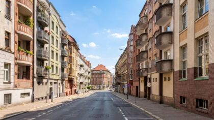 Bezpłatne czipowanie psów i kotów. Trwa miejska akcja